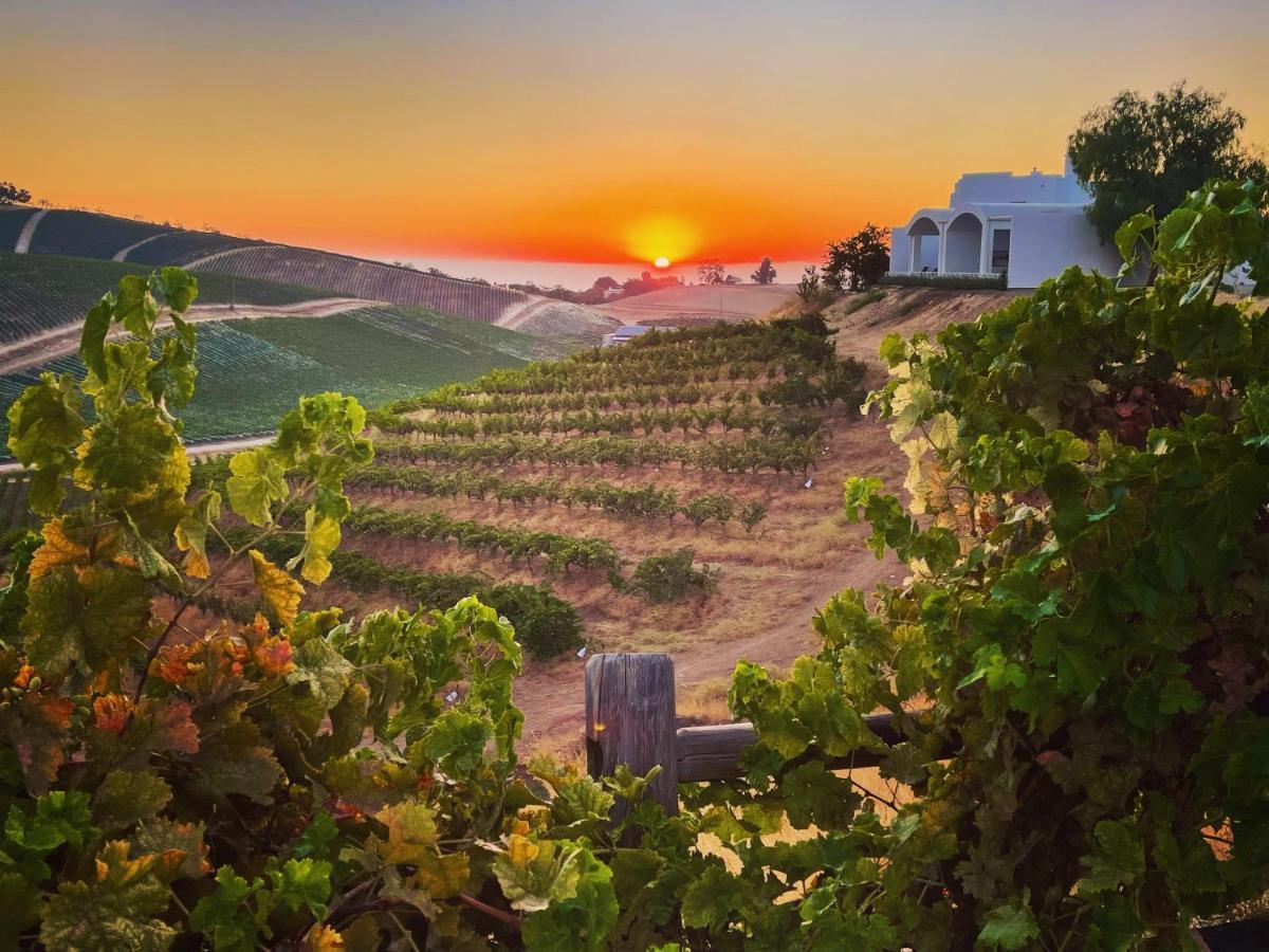 Sirena Vineyard Resort - 3 Bedroom Guest House Paso Robles Exterior photo